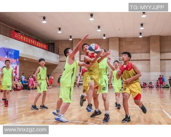 南京篮球队的奋斗历程与荣耀时刻全景纪实