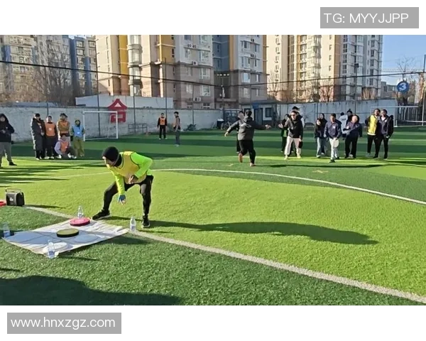 飞盘专题:深入探讨成都飞盘队的默契配合与战术策略